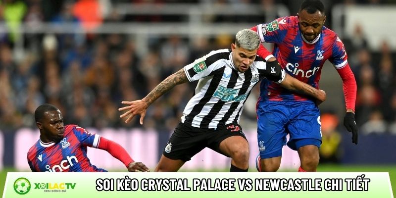 Soi kèo Crystal Palace vs Newcastle chi tiết
