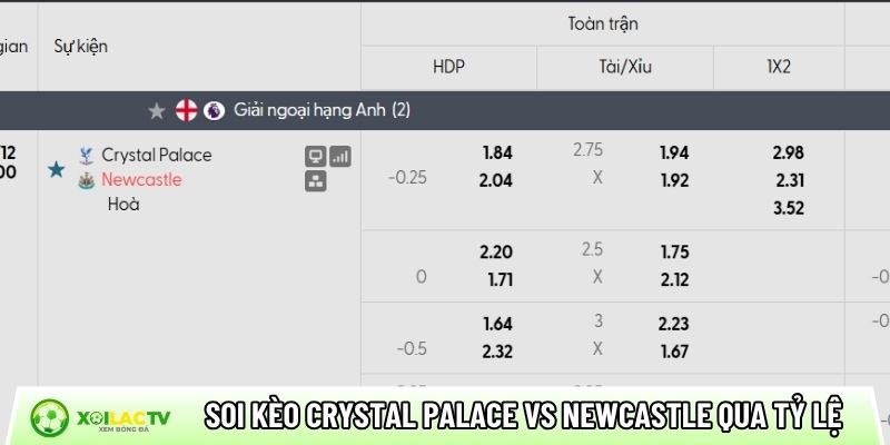 Soi kèo Crystal Palace vs Newcastle qua tỷ lệ