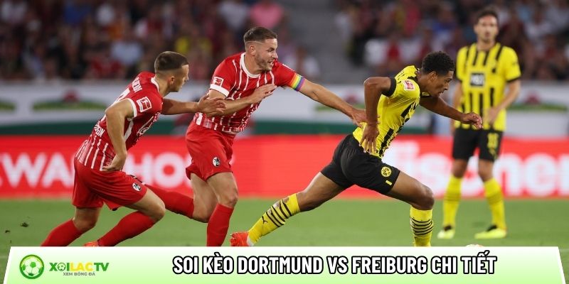 Soi kèo Dortmund vs Freiburg chi tiết