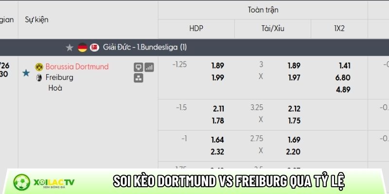 Soi kèo Dortmund vs Freiburg qua tỷ lệ