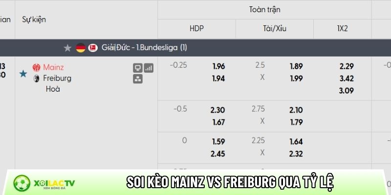 Soi kèo Mainz vs Freiburg qua tỷ lệ