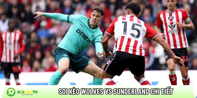 Soi kèo Wolves vs Sunderland chi tiết