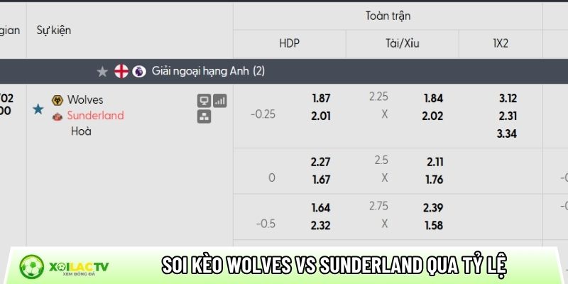 Soi kèo Wolves vs Sunderland qua tỷ lệ